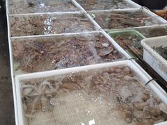 -毕家疃综合市场