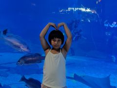 -烟台海昌鲸鲨海洋公园