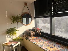 -CLUB心邸·掼蛋·麻将·扑克(日坛店)