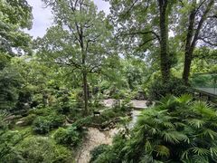 -南山植物园
