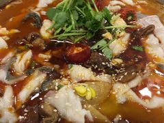-龙梅肥肠鱼(明瓦廊店)
