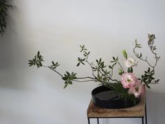 -今日陶艺(富力广场店)