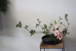 -今日陶艺(富力广场店)