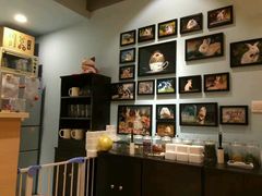-藦茜花园宠物主题亲子互动体验馆(国顺东路店)