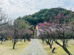 -苏州上方山国家森林公园