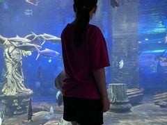 -梦幻海洋王国(吾悦广场张家港店)