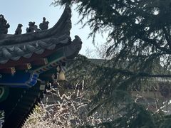-西安市广仁寺
