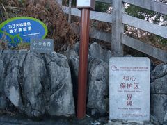 -百色大石围天坑群