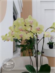 点击看大图 -北京嘉禾妇儿医院·产后康复中心