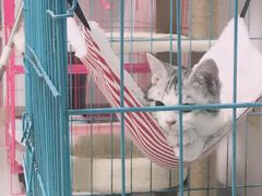 -鼎宏干锅牛肉(富城时代店)