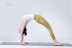 -亚太瑜伽普拉提学院