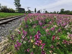 -歌斐颂巧克力小镇