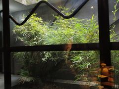 -炊烟小炒黄牛肉(东庆街店)