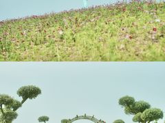 -空港花田景区