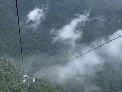 -苍山感通索道