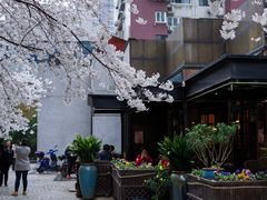 -玛格萝妮比萨屋(四平店)