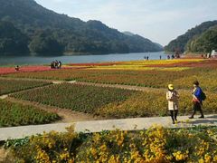 -广州市石门国家森林公园