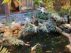 -聚缘堂·海鲜私房菜(松岭路店)