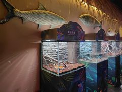 -重庆欢乐海底世界