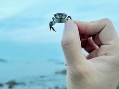 -银沙滩浴场