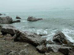 android_upload_pic-海驴岛(荣成市)