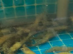 -锅老头铁锅炖•大锅蒸汽海鲜(韩乐坊店)