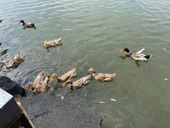 -上海怡沁园度假酒店