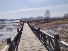 -野鸭湖国家湿地公园