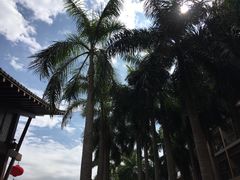 -三亚亚龙湾红树林度假酒店