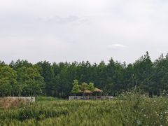 -柳鹭田园区