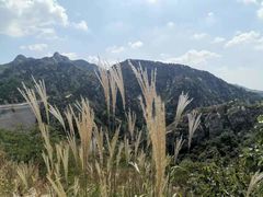 -大泽山风景名胜区