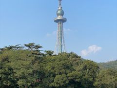 -青岛电视塔