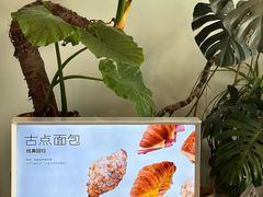 -dotcom coffee古点咖啡(致真大厦店)