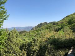 -阳台山自然风景区