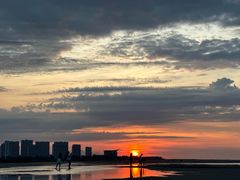 -红树林天天赶海