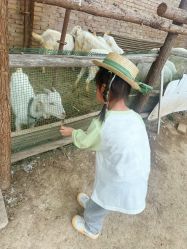 -上美四季动物农场