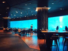 -海棠湾洲际-涛·海底餐厅·美人鱼·自助餐·海底隧道
