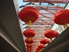 -上海浦东国际机场-T2航站楼