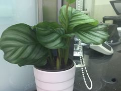 -交通银行(上海虹口支行)