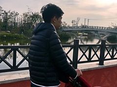 -上海长兴岛郊野公园