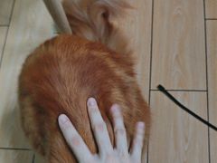 -爱洗澡的猫(天河路店)