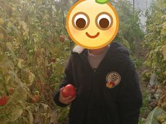 -万源龙顺度假庄园生态观光园