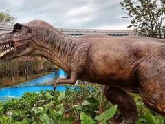 -七彩云南欢乐世界