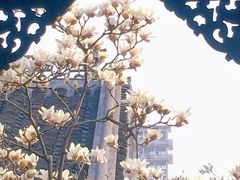 -何园