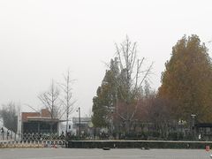 -大兴滨河森林公园