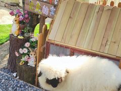 -HERRE·FARM 赫尔露营农场·团建聚会包场