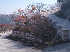 -府君山公园
