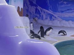 -海合安武汉极地海洋公园