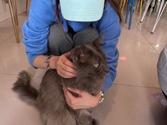 -平行世界·猫咖(首经贸店)