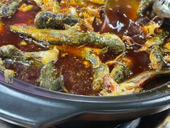 -金海椒罐罐鲢鱼(东方桂苑店)